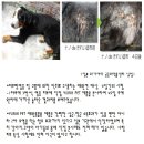 가스테크코리아(주) 이미지