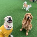 불리빌로우코리아센터 이미지