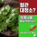 백세건강지킴이 | (백세시대)"혈관 청소부라 불리는 '방풍나물', 매일 먹으면 몸에 생기는 놀라운 변화 5가지"