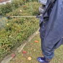 거성농자재 이미지