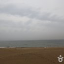 금진 이미지