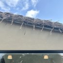 아누캄파(ANUKAMPA) 이미지