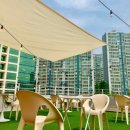 오렌지 애견카페 이미지