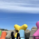 하평해변 기찻길, 묵호항 준설토매립지 국화꽃밭, 묵호항 활어회센터, 어달해변, 어달항, 천곡박쥐동굴