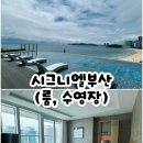 (주)호텔롯데 시그니엘 부산 | 시그니엘 부산 해운대뷰 정면 룸, 수영장, 수모대여 여부