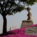 패랭이공원 내 이미지