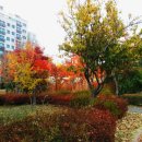 부평공원 이미지