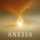 오토바른정비㈜ | 아넷사 퍼펙트 선스크린, 눈 시림 논란에도 재구매하는 기술력의 비밀