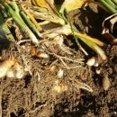 디딤돌농장 이미지