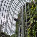 왕숙천 자전거도로15 | 싱가포르 가든스바이더베이(음식점 쥬라기네스트, 슈퍼트리쇼) &amp; 헬로라이드 자전거 대여 후기