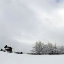 서정적인 이미지