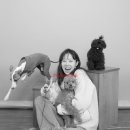 올데이스튜디오 네이버블로그