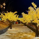 앞산공원 공중전화3 | 대구 크리스마스 축제 앞산 겨울정원 일정 앞산 빨래터공원 주차장 정보