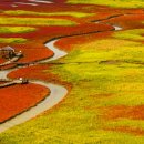 불타는 석쇠 이미지