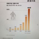 100세 장수 8604명 이미지