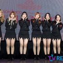 늘푸른동명 TV리포트
