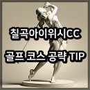 칠곡아이위시컨트리클럽 | 칠곡 아이위시CC 골프 코스 공략 TIP