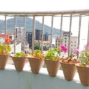 학동누리펜션 이미지