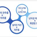 디아뜨2 이미지