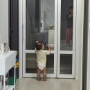 바오밥 | [육아일기] 생후 445일 - 내돈내산 바오밥매트 부분 시공 후기 #금액 공개 #지인 추천 할인