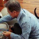 조선예가 이미지