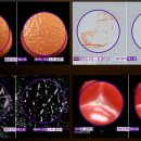 맥스스파 네이버블로그