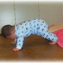 오리궁뎅이 이미지