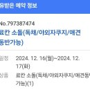 료칸향호 | 강릉펜션> 강릉료칸소돌향호 > 애견동반자쿠지펜션 • 이곳은 일본인가봉가 ❤️ 내돈내산 후기