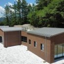 치유의숲 이미지