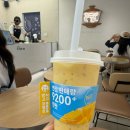 카페포멜로 | 서울 경희대 카페 : 차백도 망고포멜로사고 내돈내산 후기