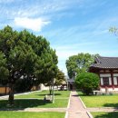 소머거리 이미지