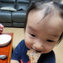 바로돼지 티스토리