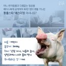 행복한 돼지 Daum카페
