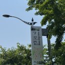 목포 맛집, 기와집농원 토종닭코스 내돈내산 후기
