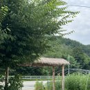 들꽃마당펜션 | 강원도 홍천 촌캉스 계곡 독채 펜션, 또 가고싶은 &#34;들꽃마을 흙집펜션&#34; 후기
