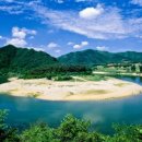 강 - 창원시 마산합포구 완월동 | 강