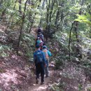 도인농장 이미지