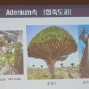 천우농원
