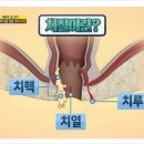 항플러스병원 이미지