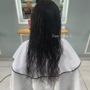 살롱엘(salon L)