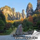 장가계 | 중국여행 말톡 eSIM 이심 장가계 여행 후기