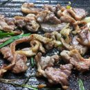 배부른생오리 이미지