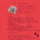 1333 | [#1333] 땡구(양측 슬개골탈구 G3)의 수술후기