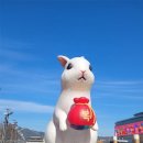 심심토끼 이미지