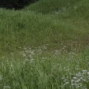 의령 운곡리 고분군 이미지