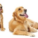 한강동물약품 이미지