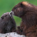 고산공원 이미지