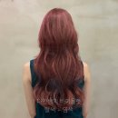 묭실:살롱