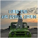 선라이즈투어