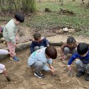 금오산 유아숲체험원 이미지